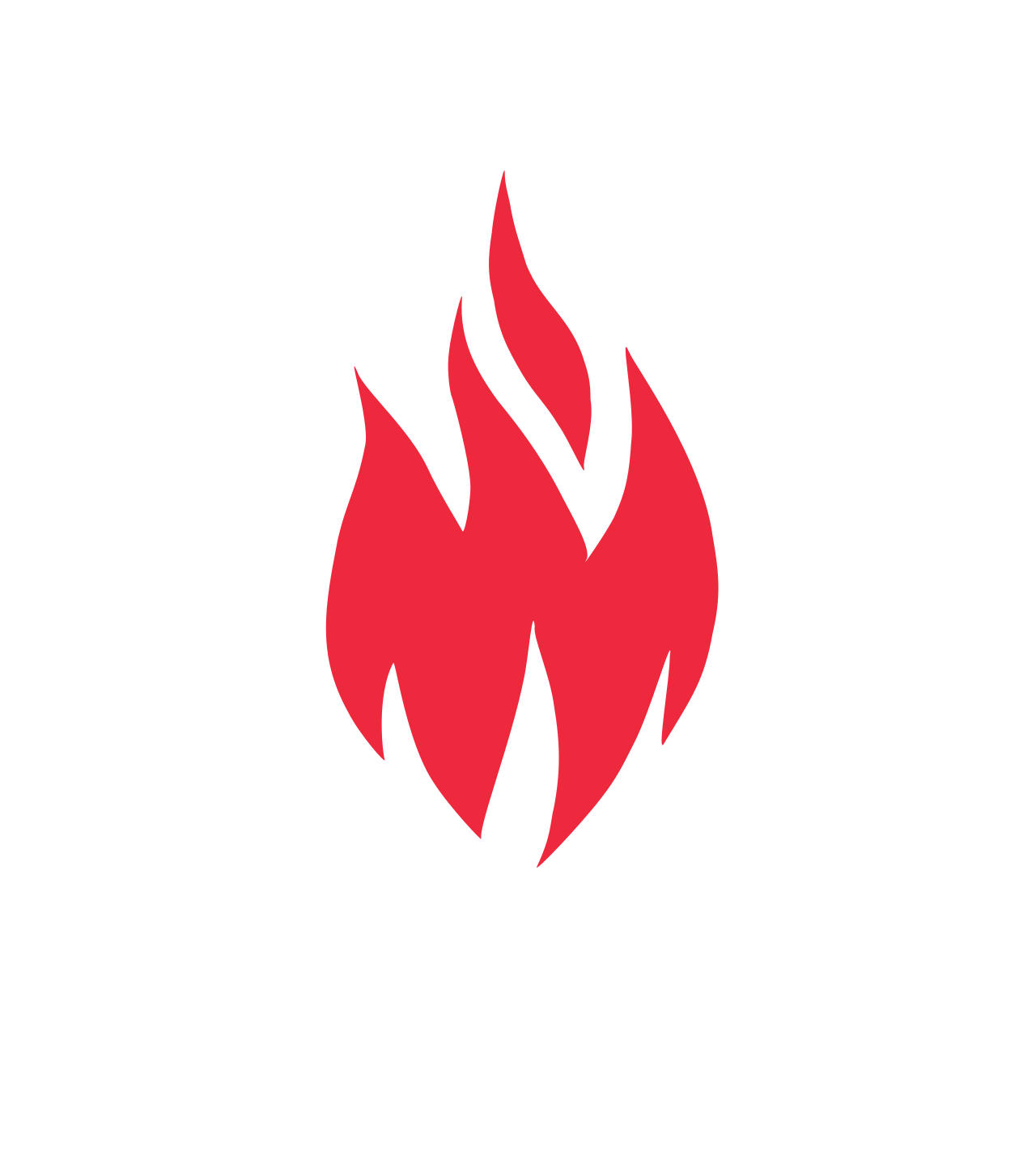Fire Logo