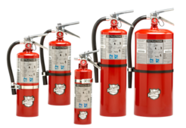 Standard (BC) Dry Chemical is a sodium bicarbonate-based extinguishing agent that is suitable for use on Class B and Class C fires.